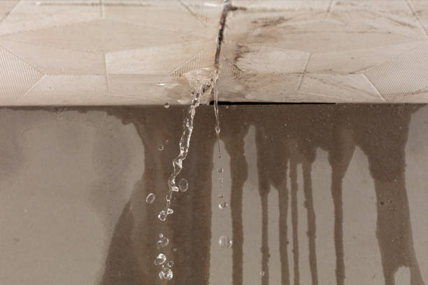 Professional Water Damage Repair technician working in Harvard, MA